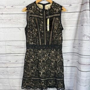 Love & Roses Black Lace Dress Sleeveless Size 8